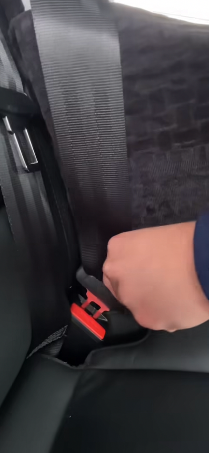 Weil dein bester Freund jede Fahrt sicher verdient